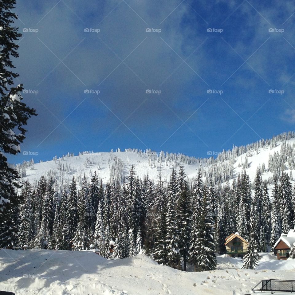 Silver Star mountain