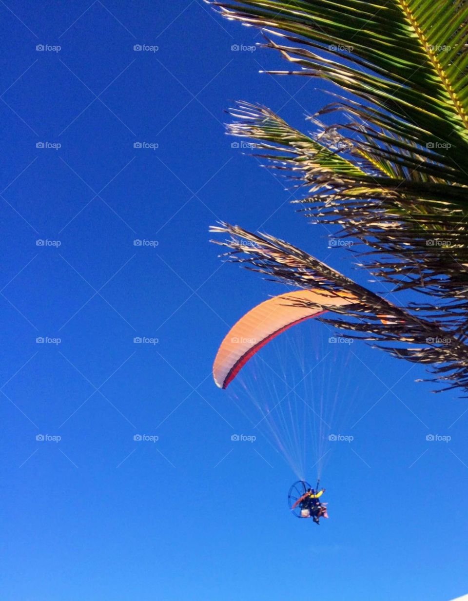 Orange paraglider on blue sky