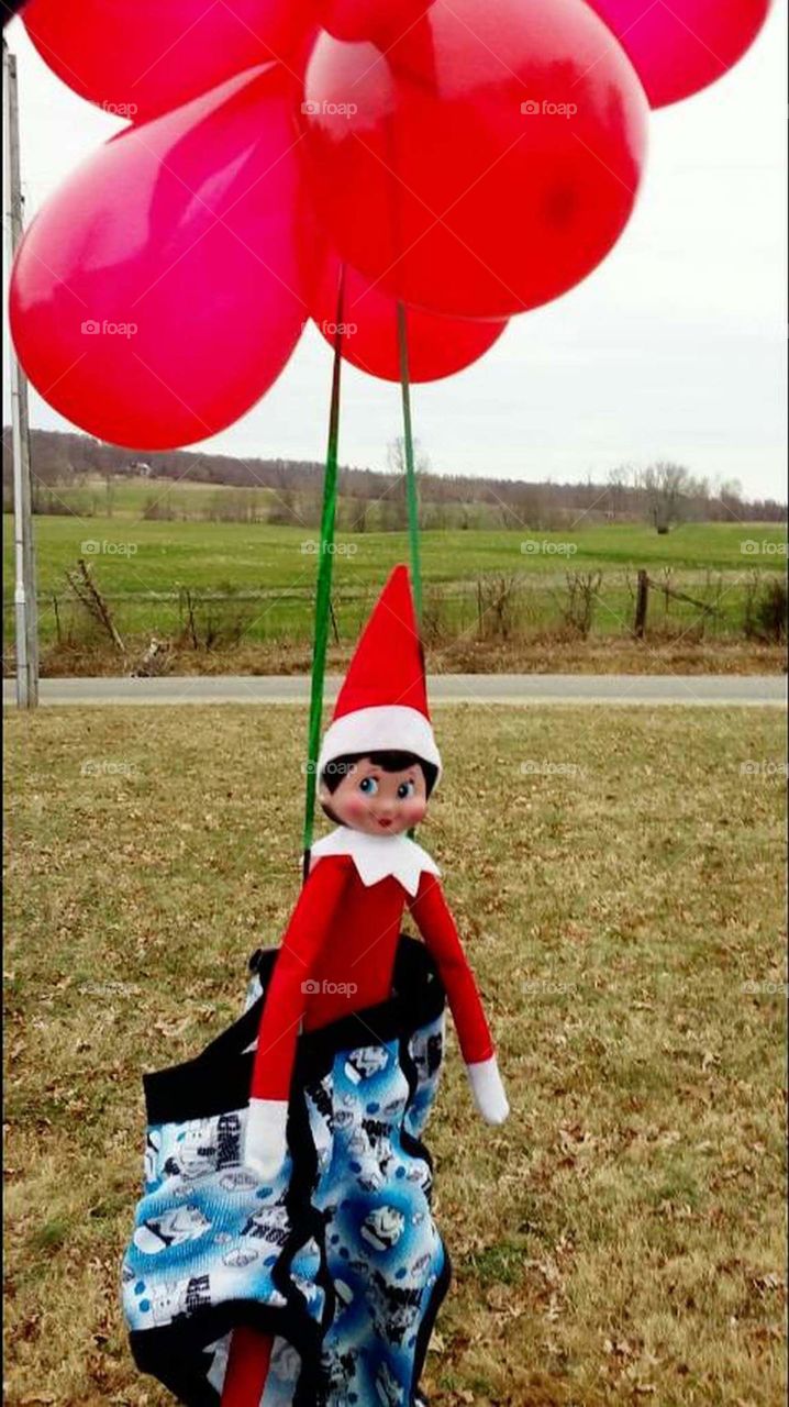 When laundry isn't put away, Zippy elf goes out to play...