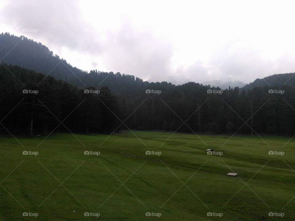 Green trees, with the green grass all around, can be flaunt anywhere, love the place khajjiar
