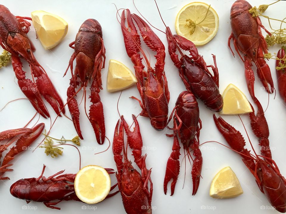 Crayfish 