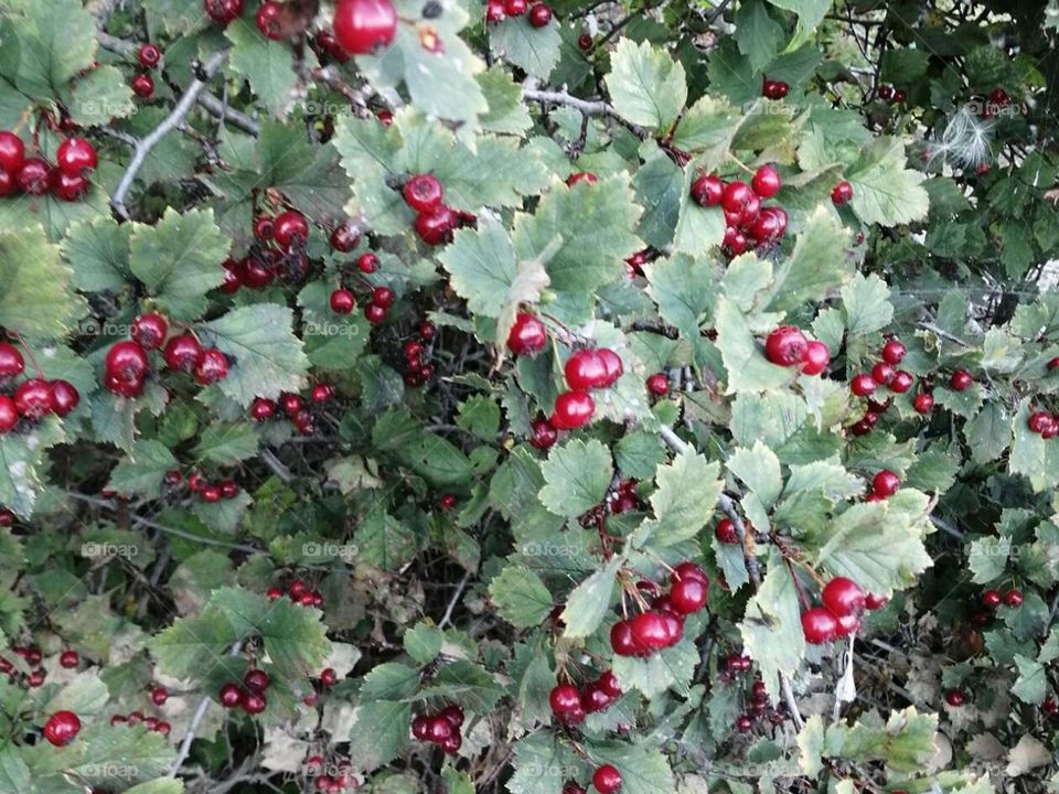 Красоты Кузбасса