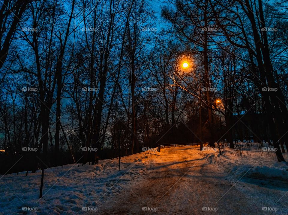 A street lamp illuminates the path in the park