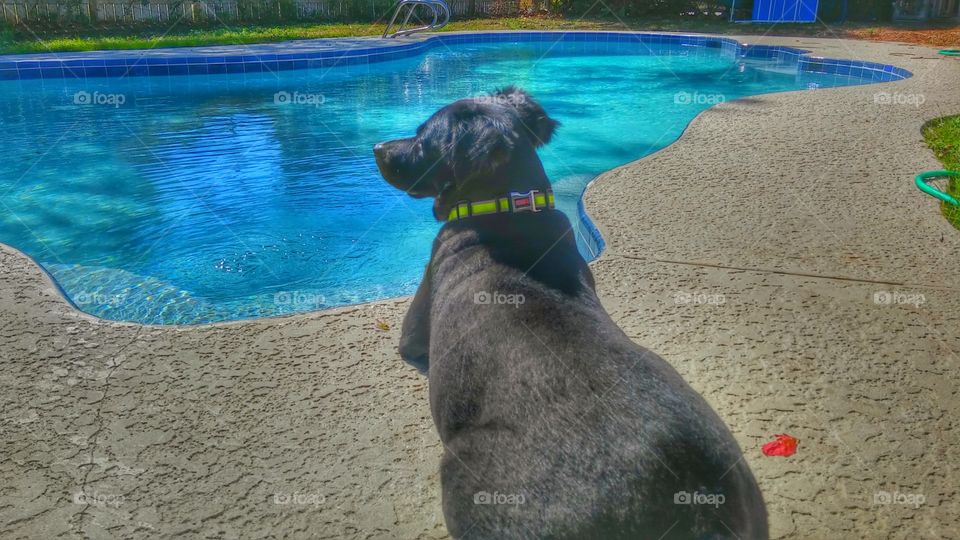 Lazy Days by the Pool