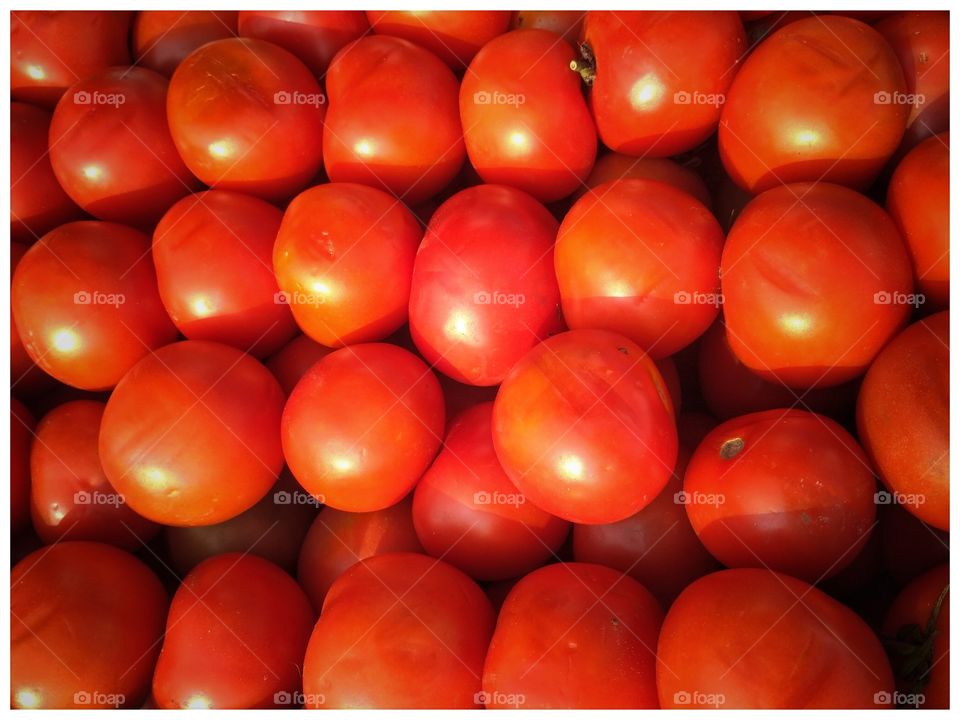 Shiny Tomato...
