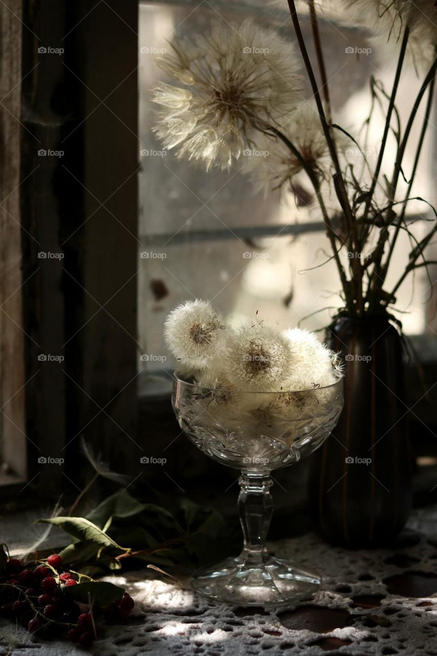 натюрморт из Семён одуванчика