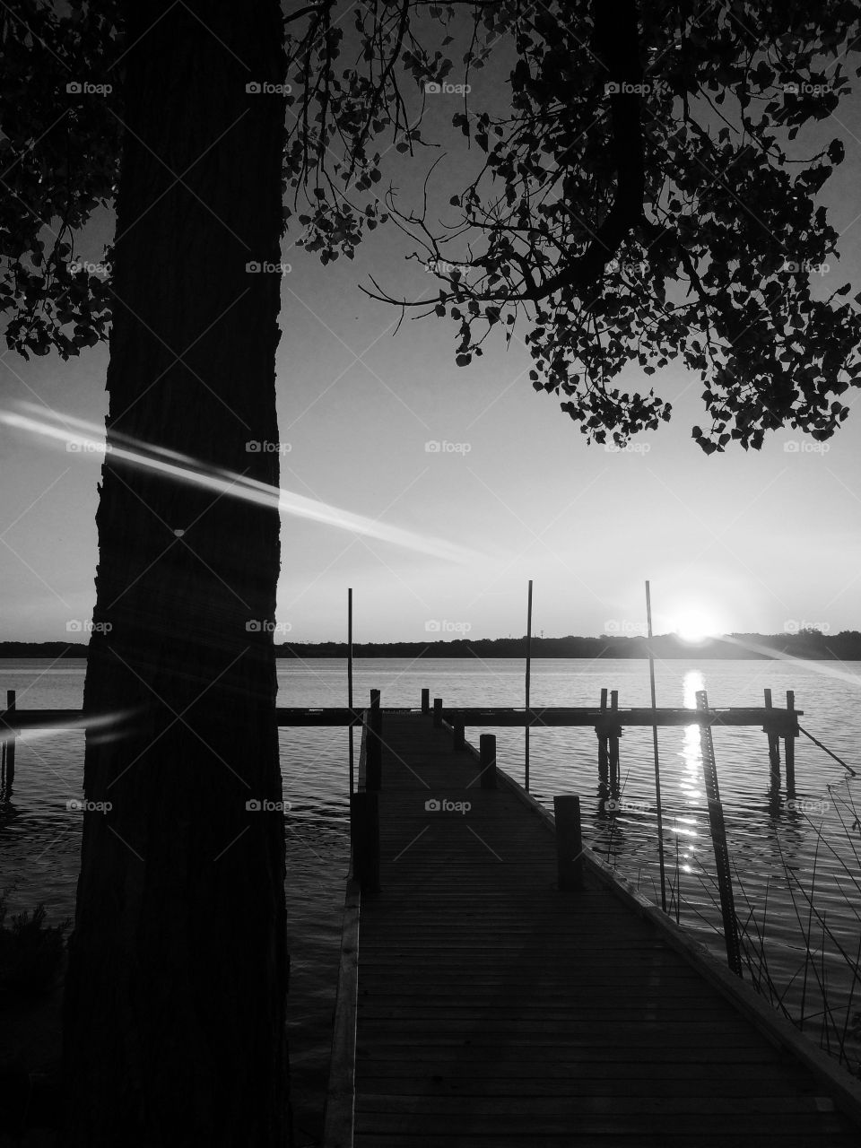Silhouette of tree and pier in lake