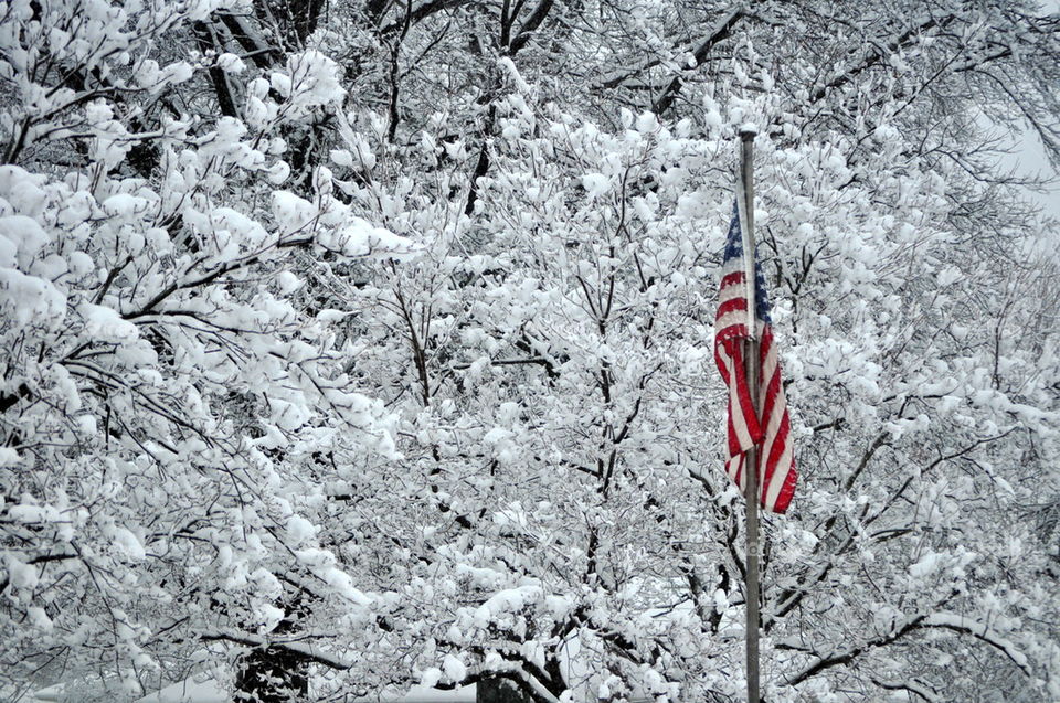 Old Glory in Winter