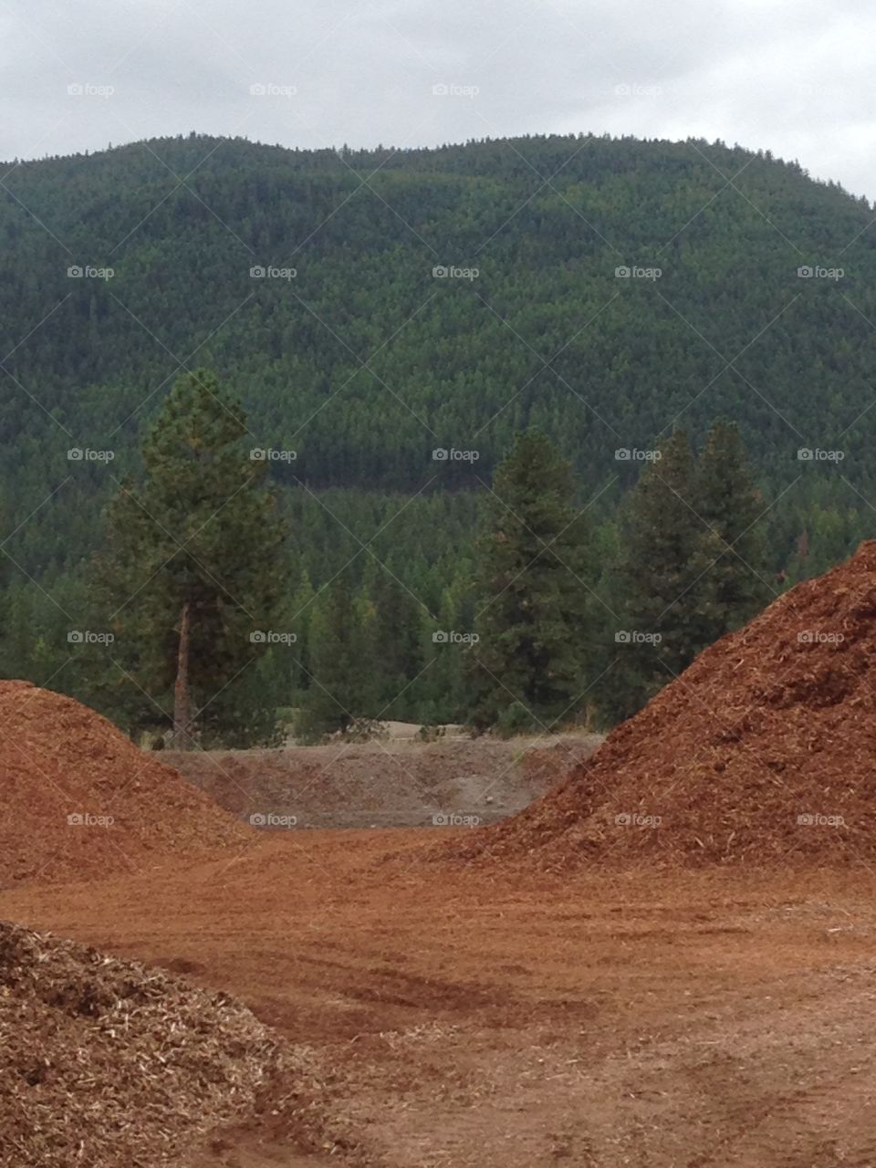 From work to wilderness