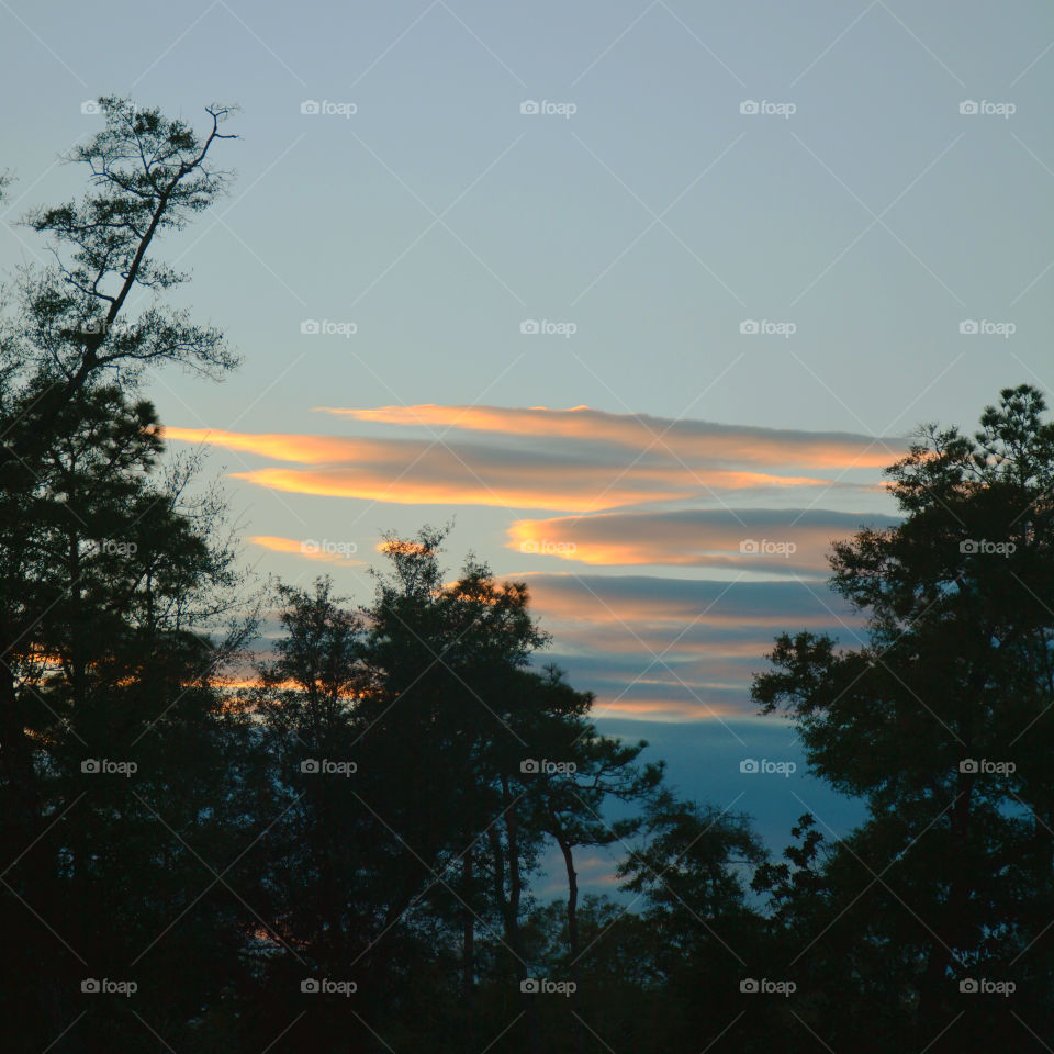 Storm Cloud! While I hunkered down the storm did not go gently. The air was dense and thick with moisture! No longer are the trees static,they bend and twist and occasionally break. The sound of thunder rolls through the area as another lightning bolt splits the sky! The clouds were thick and black and they were ready to dump their contents!