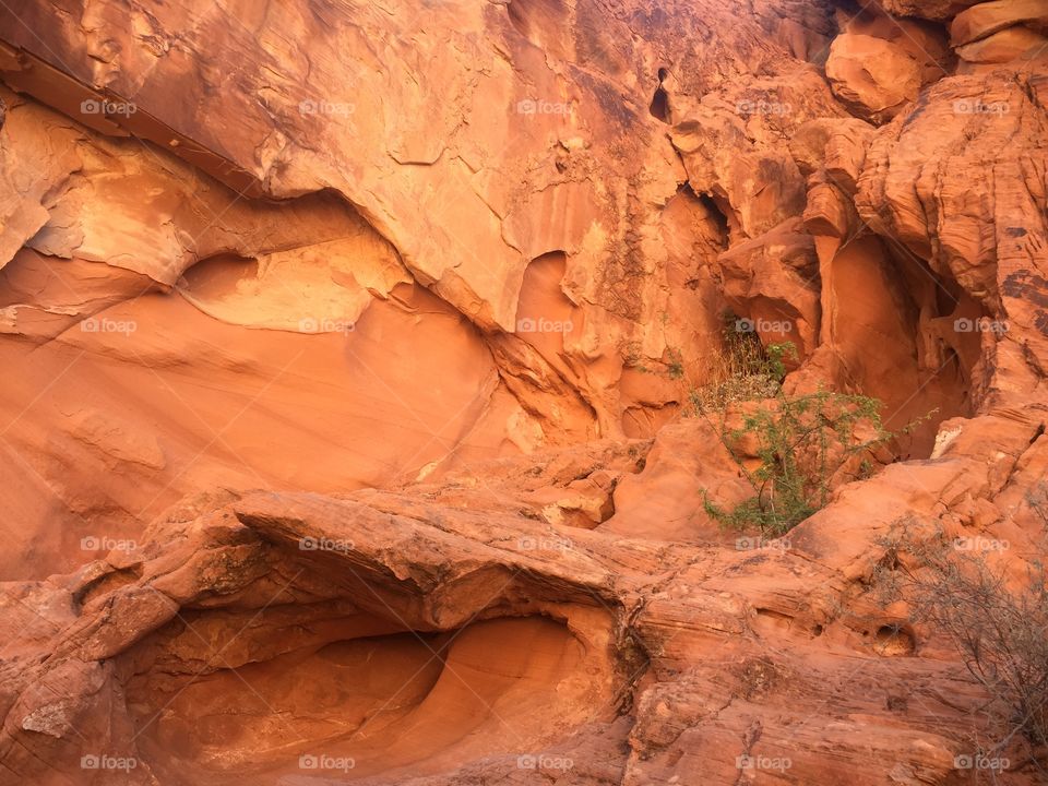 Orange canyon rocks with 