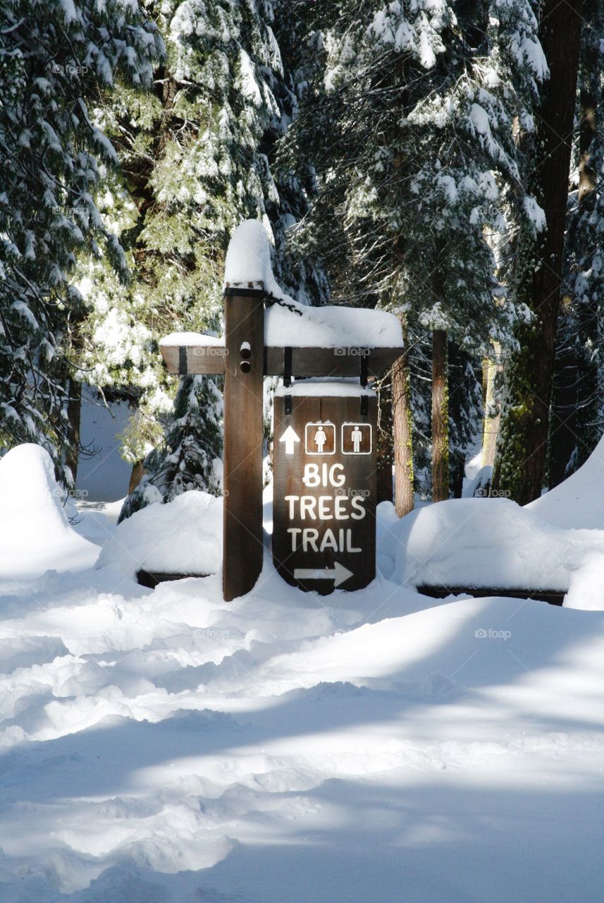 Sign in sequoia park 