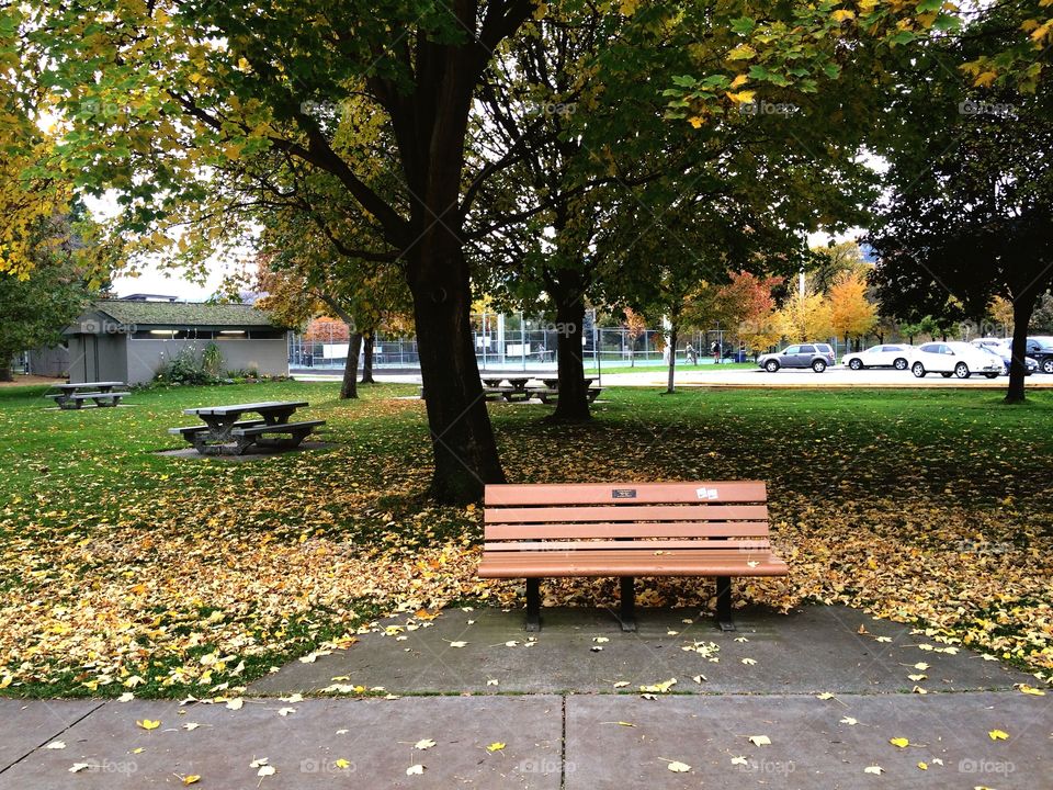 Fall at riverside park! 