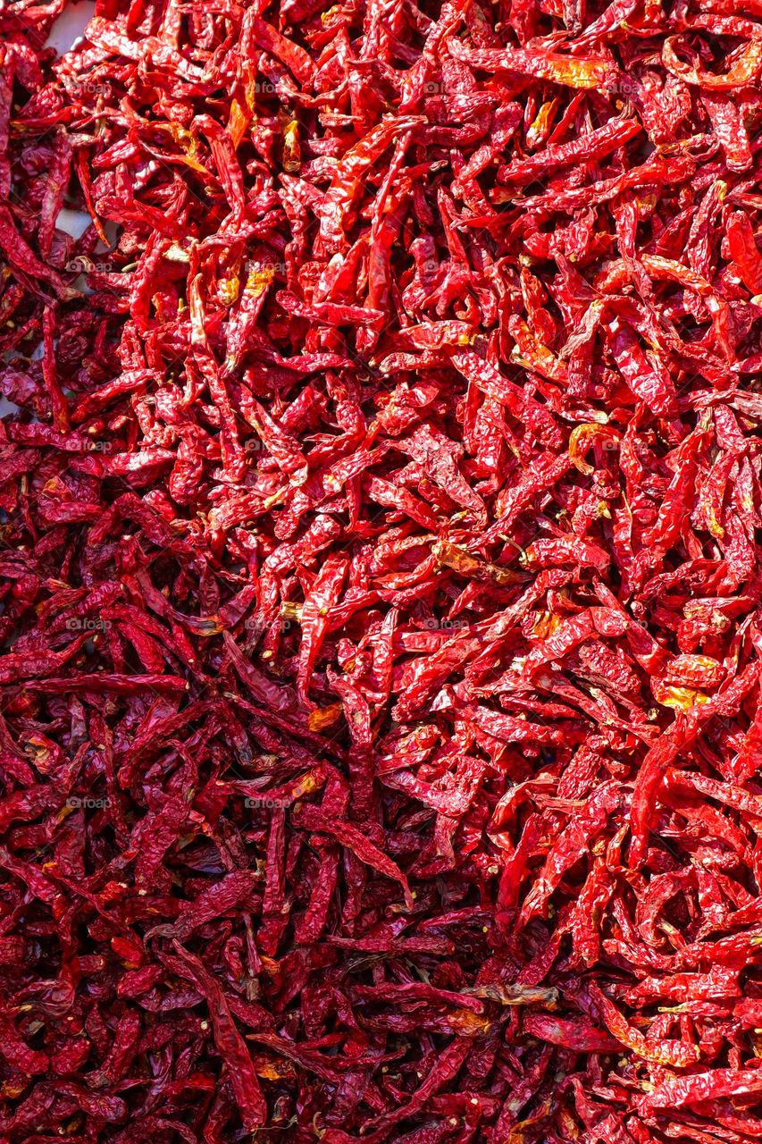 Red Chilli