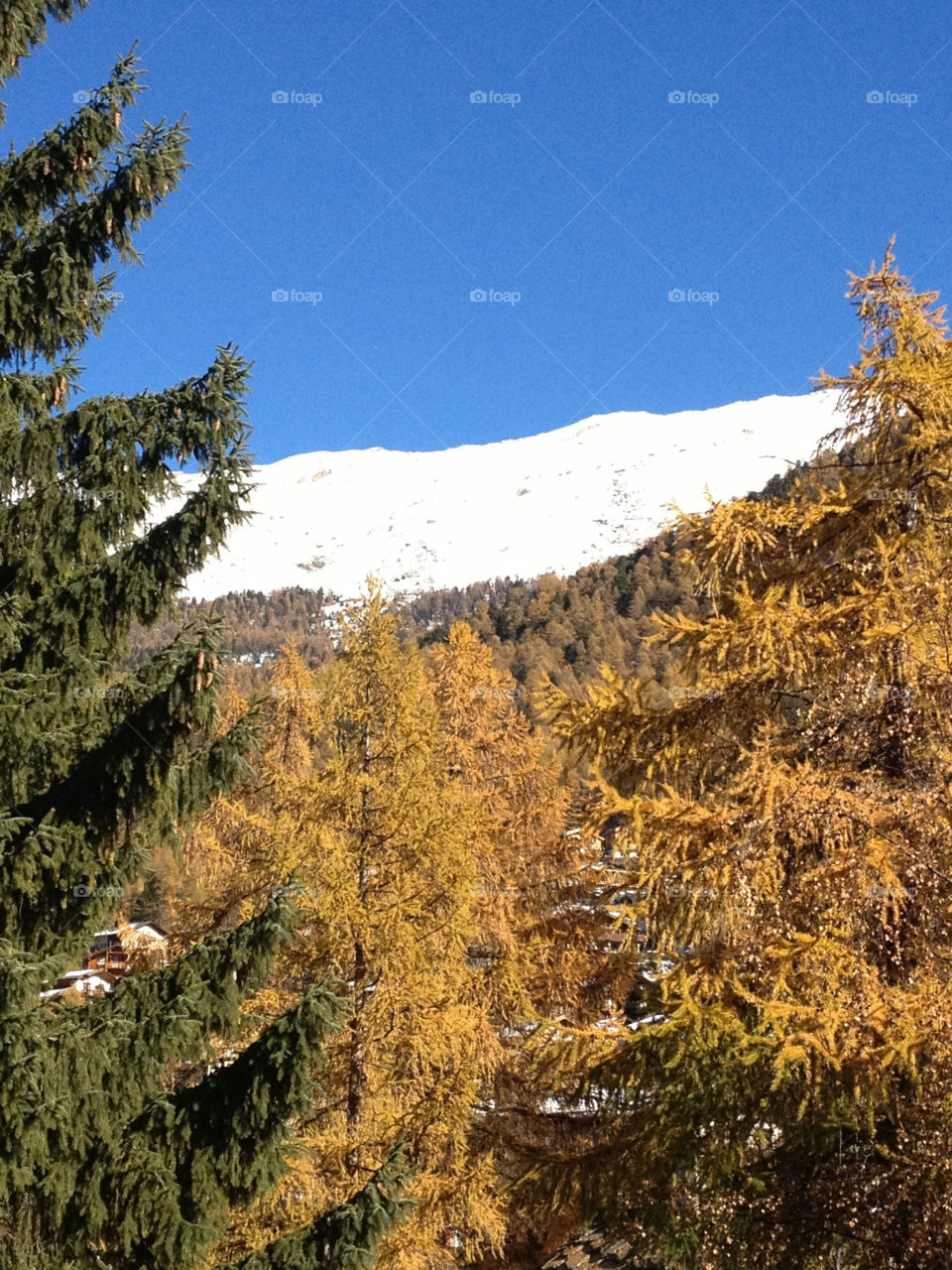 autumn colours sun and snow clear sunny sky zermatt by swisstraveler
