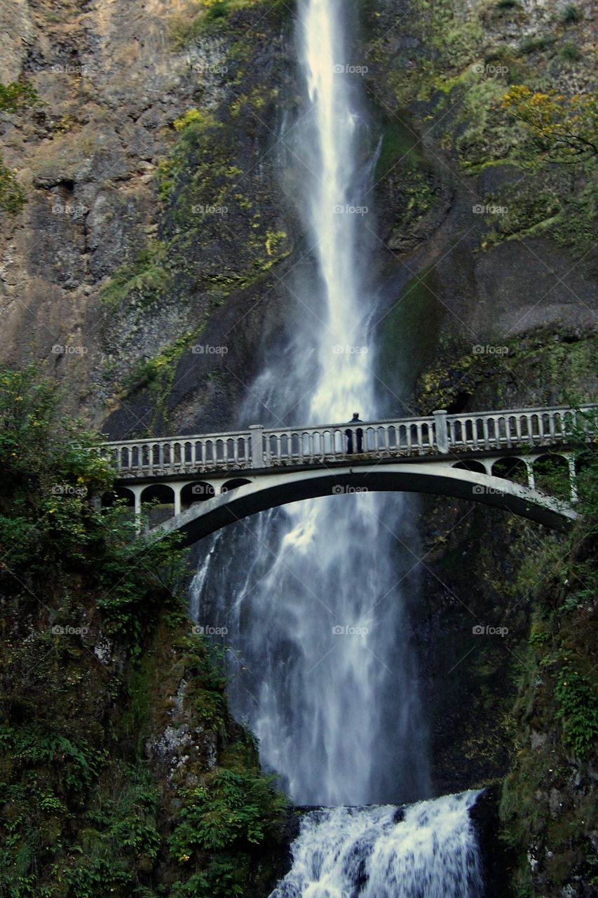 Multnomah Falls in Oregon 