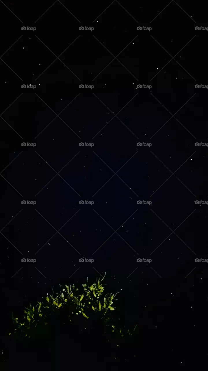 Stars in the sky