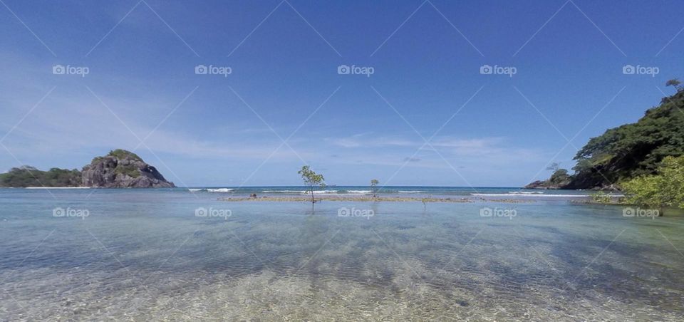Panoramic shot of reef rock pool with mangroves