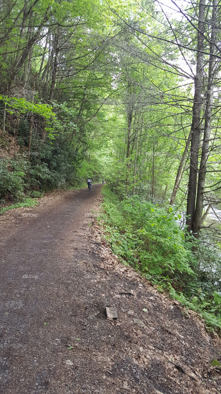 Virginia bike trail