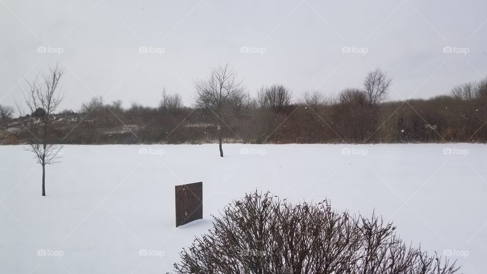 Winter, Snow, Tree, Landscape, Weather