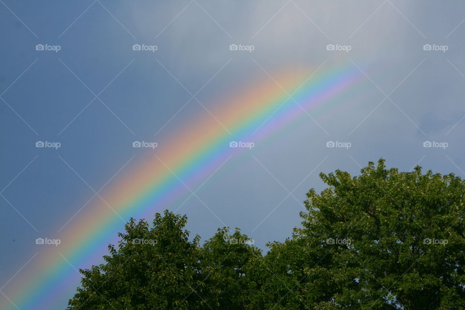 Rainbow 