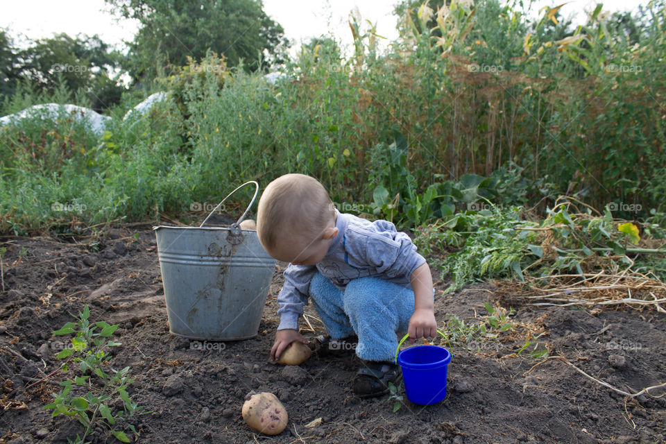 Child, Farm, Agriculture, Bucket, Grow