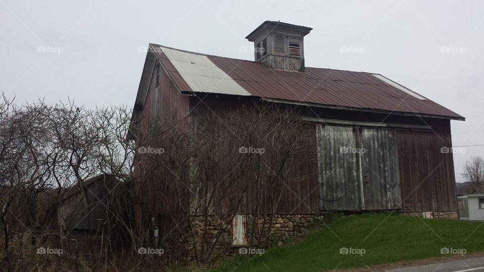 Abandoned farm #4
