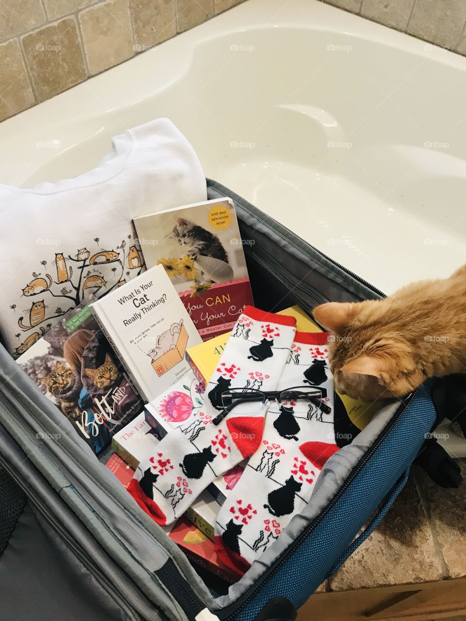 Let’s get ready to travel with best feel good cat reads, reading glasses, and favorite cozy kitty sweatshirt and socks for reading! 