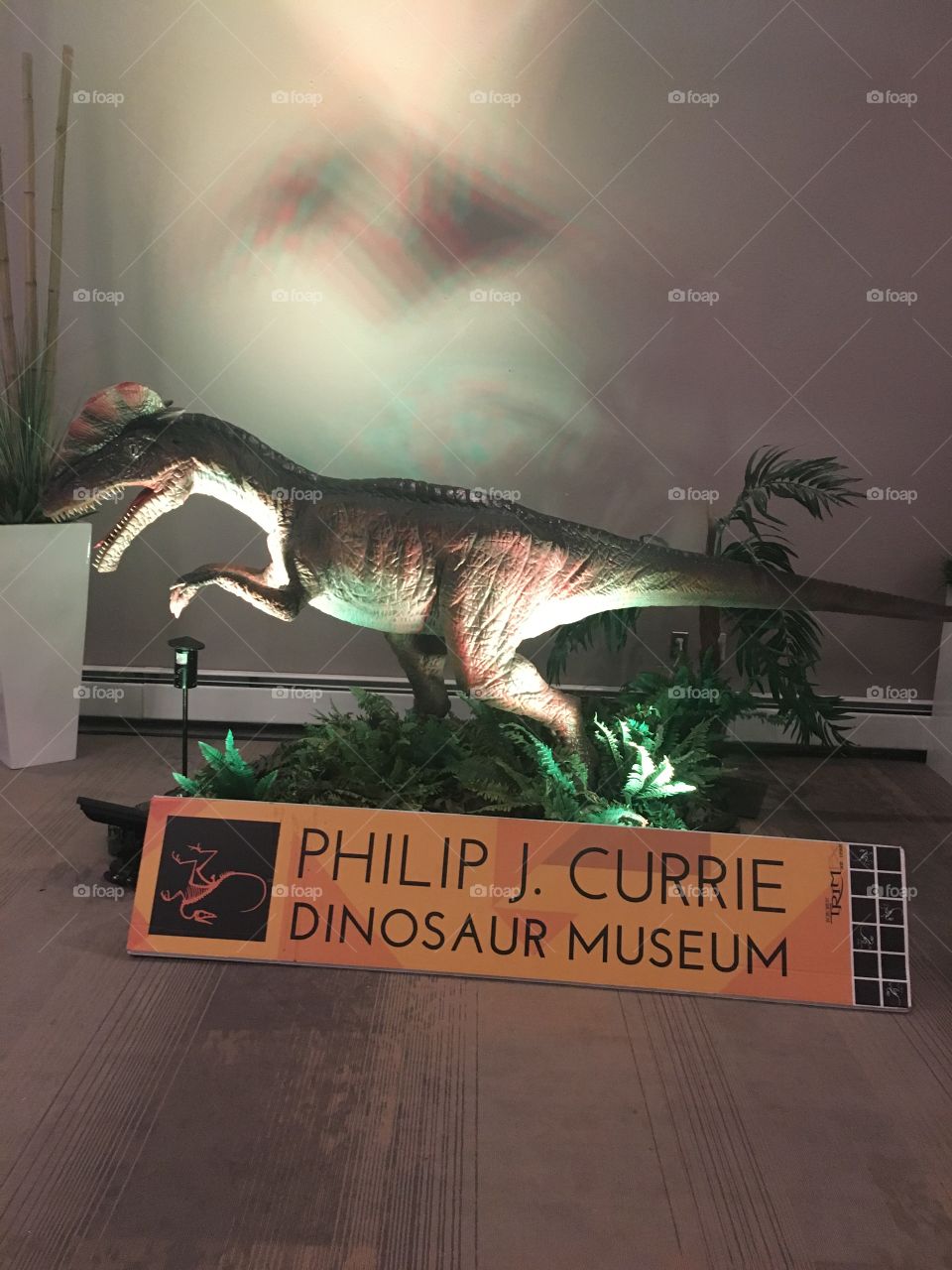 Fundraiser for the museum 