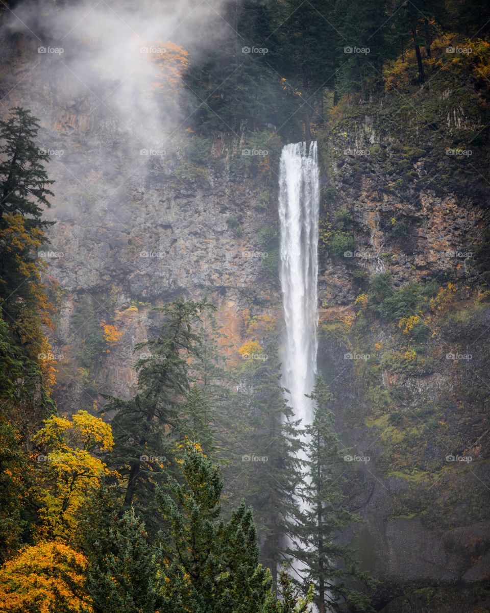 Multnomah Autumn 