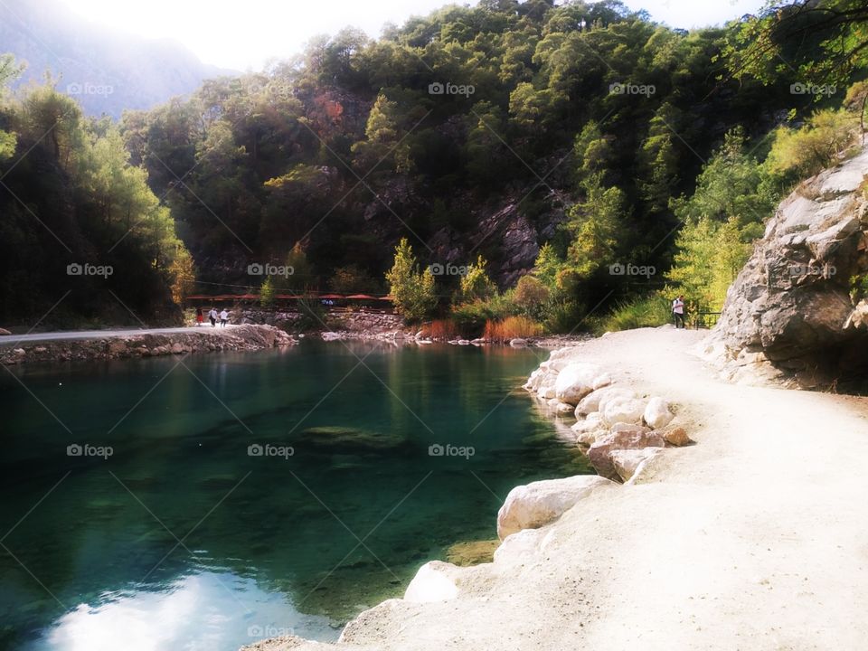 A mountain lake with rocks in the middle of park with green forest trees and bridge. With sunny daylight.