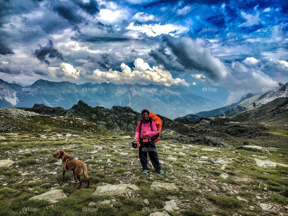 alps, alpine, mountaineering, hiking, dog, via alpina