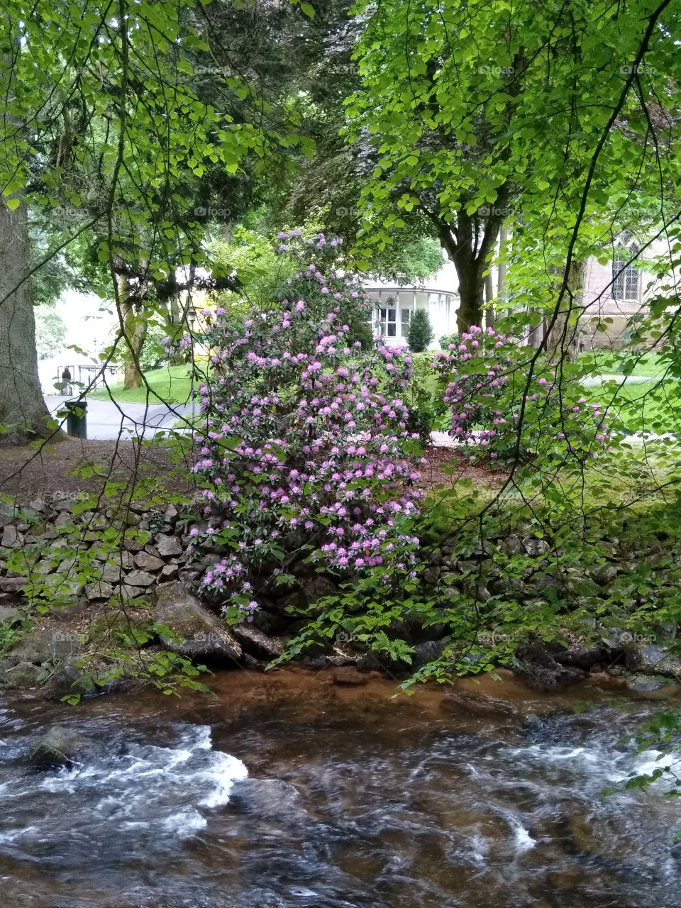 Kurpark in Bad Wildbad