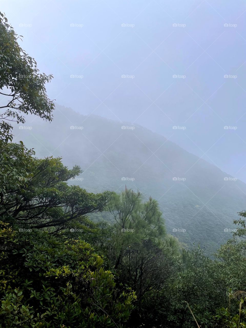 surrounded by clouds