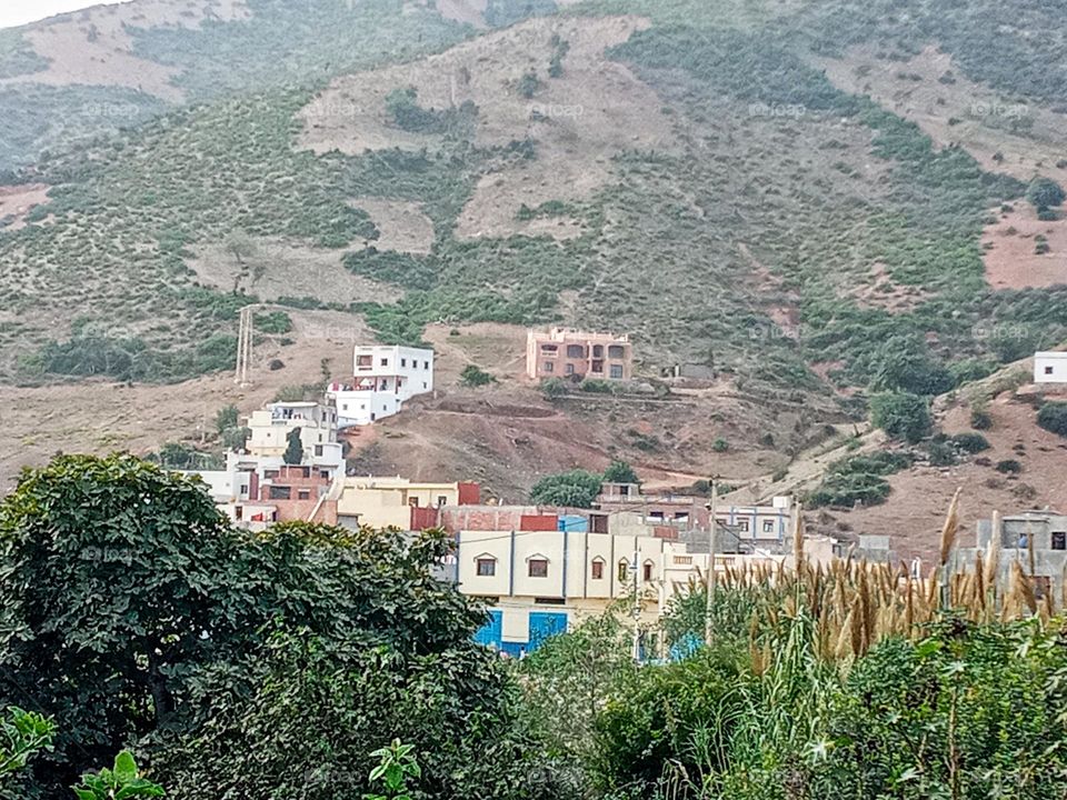 Population between the nature