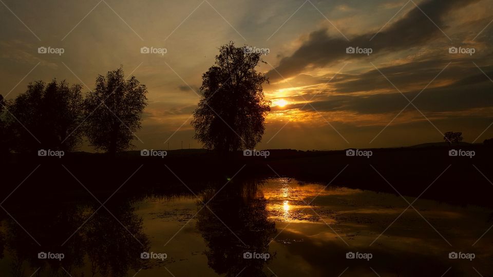 Sunset at a pond