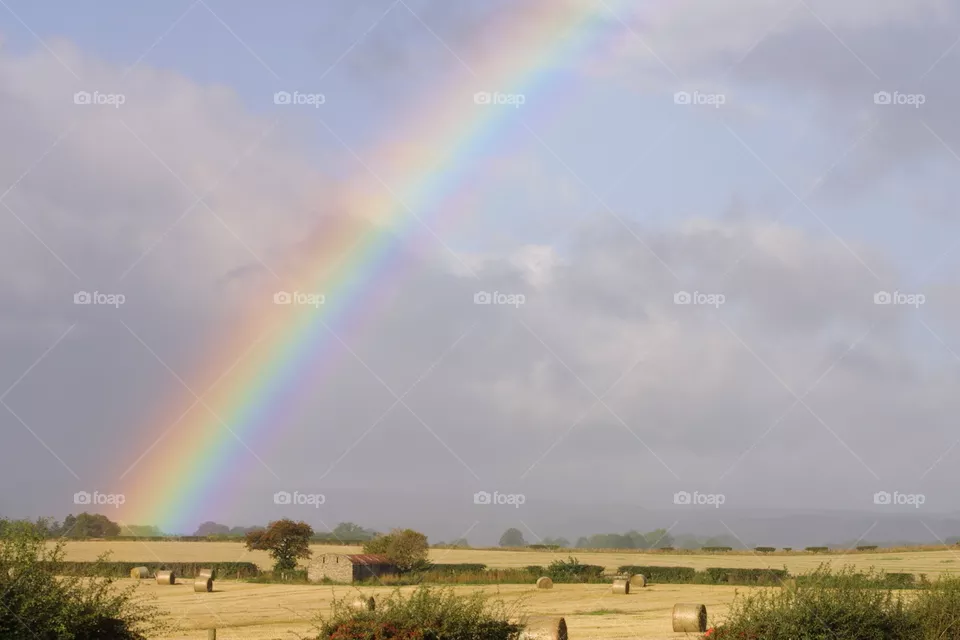 rainbow