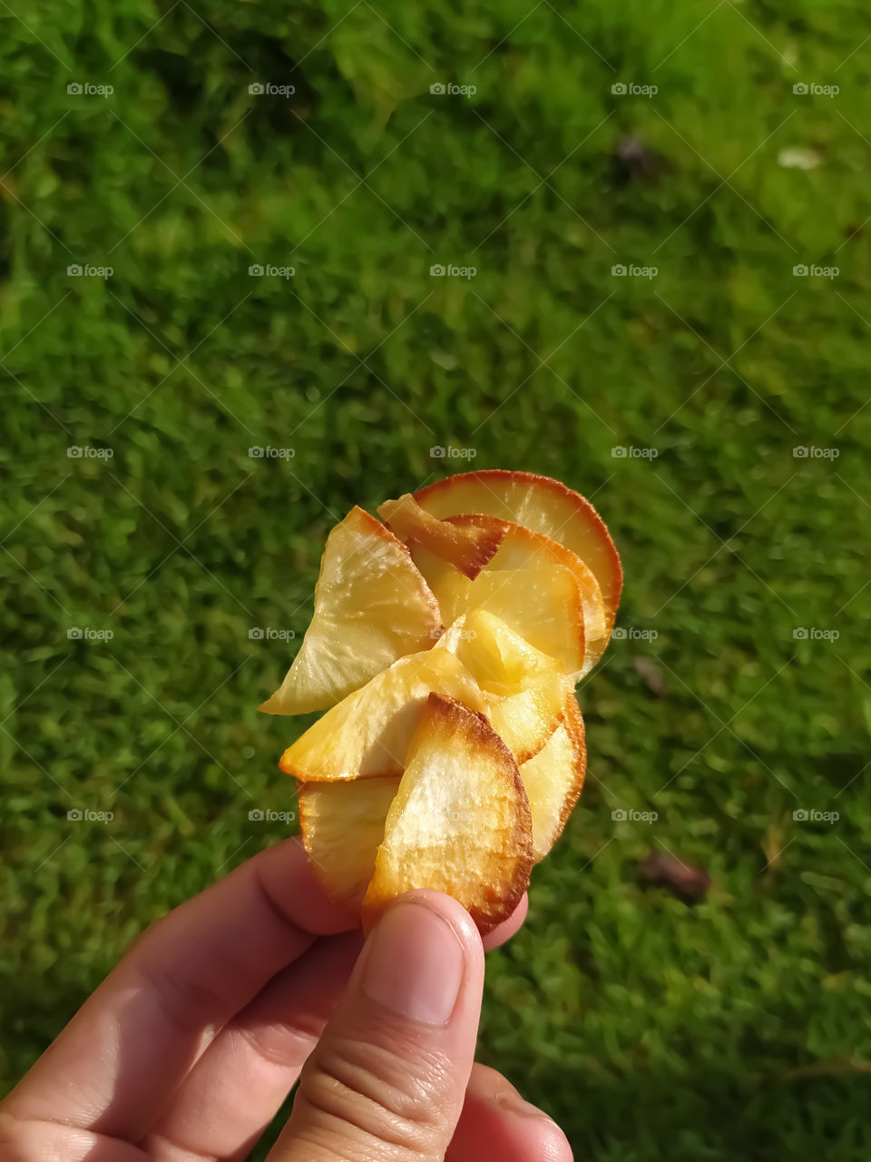 Cassava chips with green background