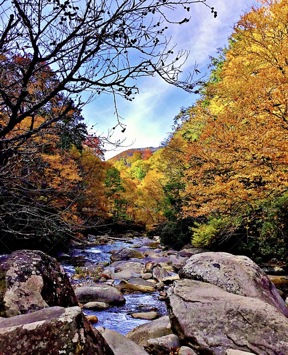 It’s Autumn time - Peak performance - A Kaleidoscope of Colors - Enjoying fall foliage by the rolling stream. Streams and rivers around the country are ablaze with vibrant colors and picturesque beauty. This one is breathtaking. 