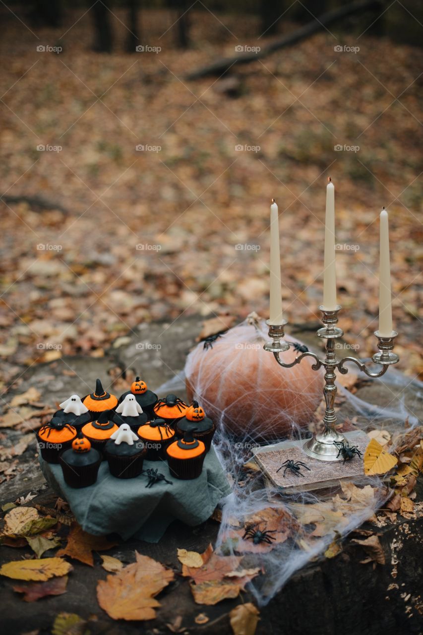 forest, night, holiday, decorations, snacks, fall, orange, black, mystery, Halloween, dark, glowing, candy, flashlight, ginger, fun, cute, fog, gloomy, burning, candle, flame, Jack, face, smile, autumn, symbol, skeleton, dark, above, scary, good, funny, background, lonely, sadness, darkness, magic, event, bat, Ghost, concept, trick, emblem, Phantom, pumpkin face, pumpkin, October, September, werewolf, mage, terrible, grim, supernatural, treat, trick or treat, horrible, wizard, Jack-lantern