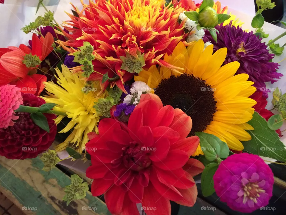 Flowers 