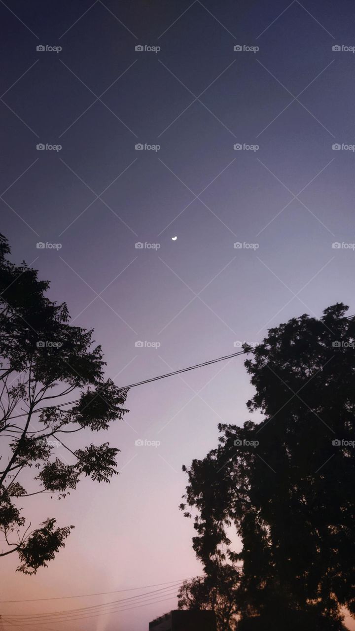 the moon✨