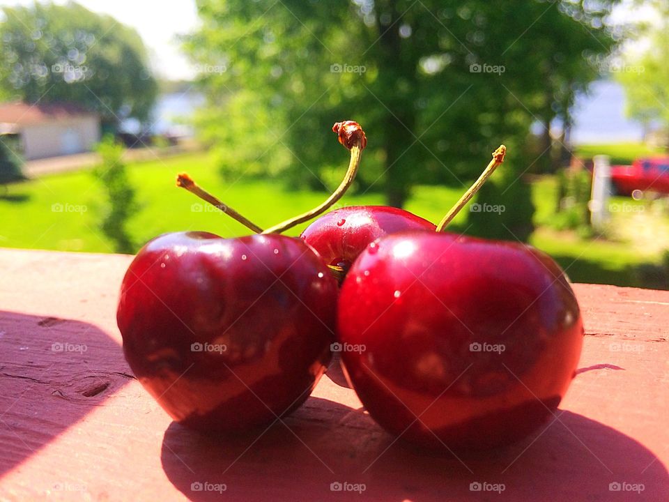 Red Bing Cherries 