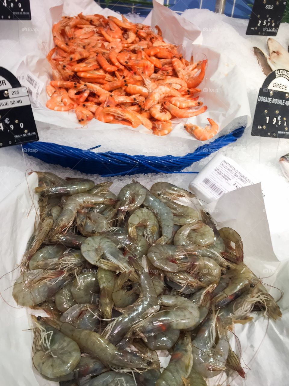 Prawns on a fish market in Paris.