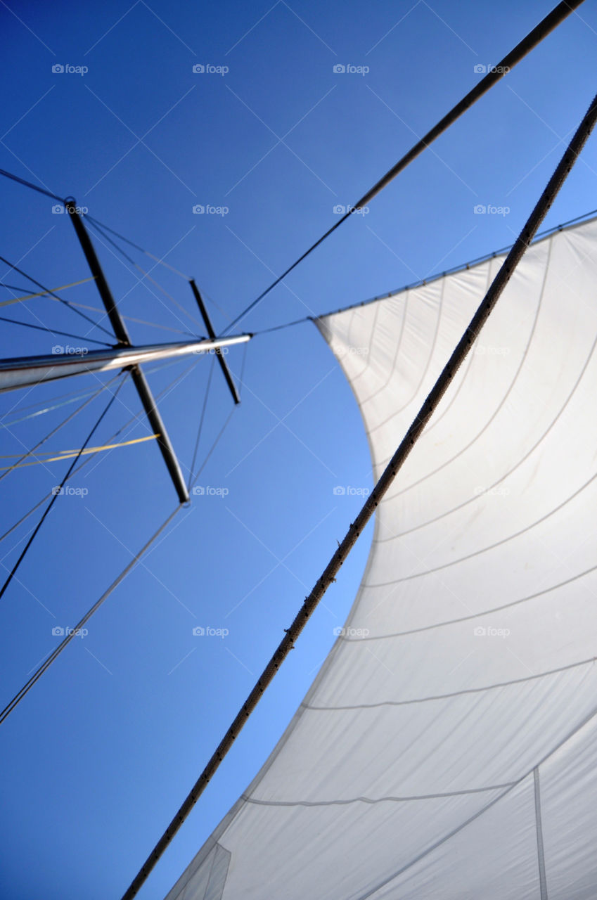 White sail