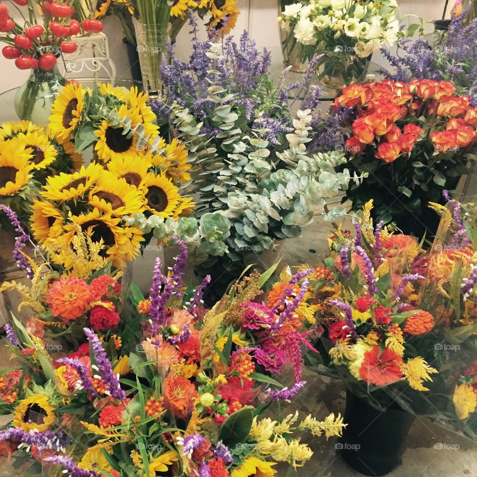 Flower, Flora, Garden, Bouquet, Floral