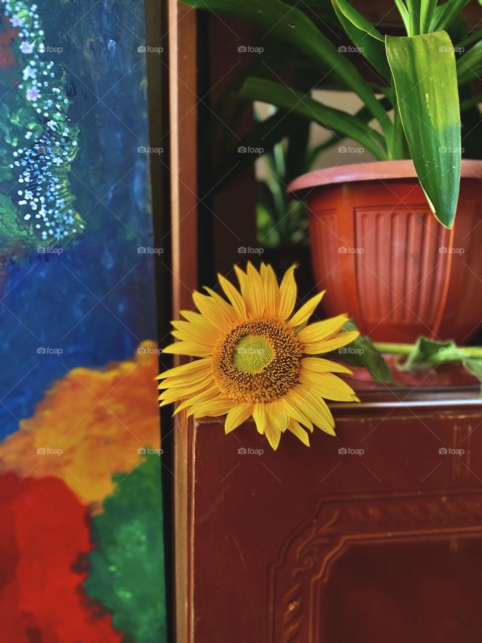 bright colors in minimalism