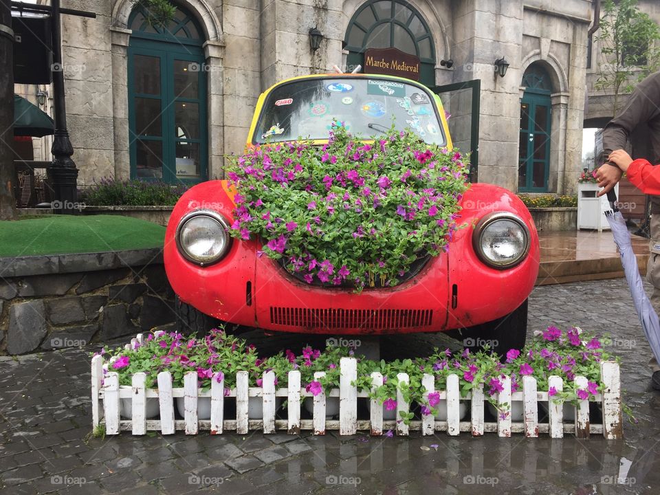 Flower garden in vintage red car