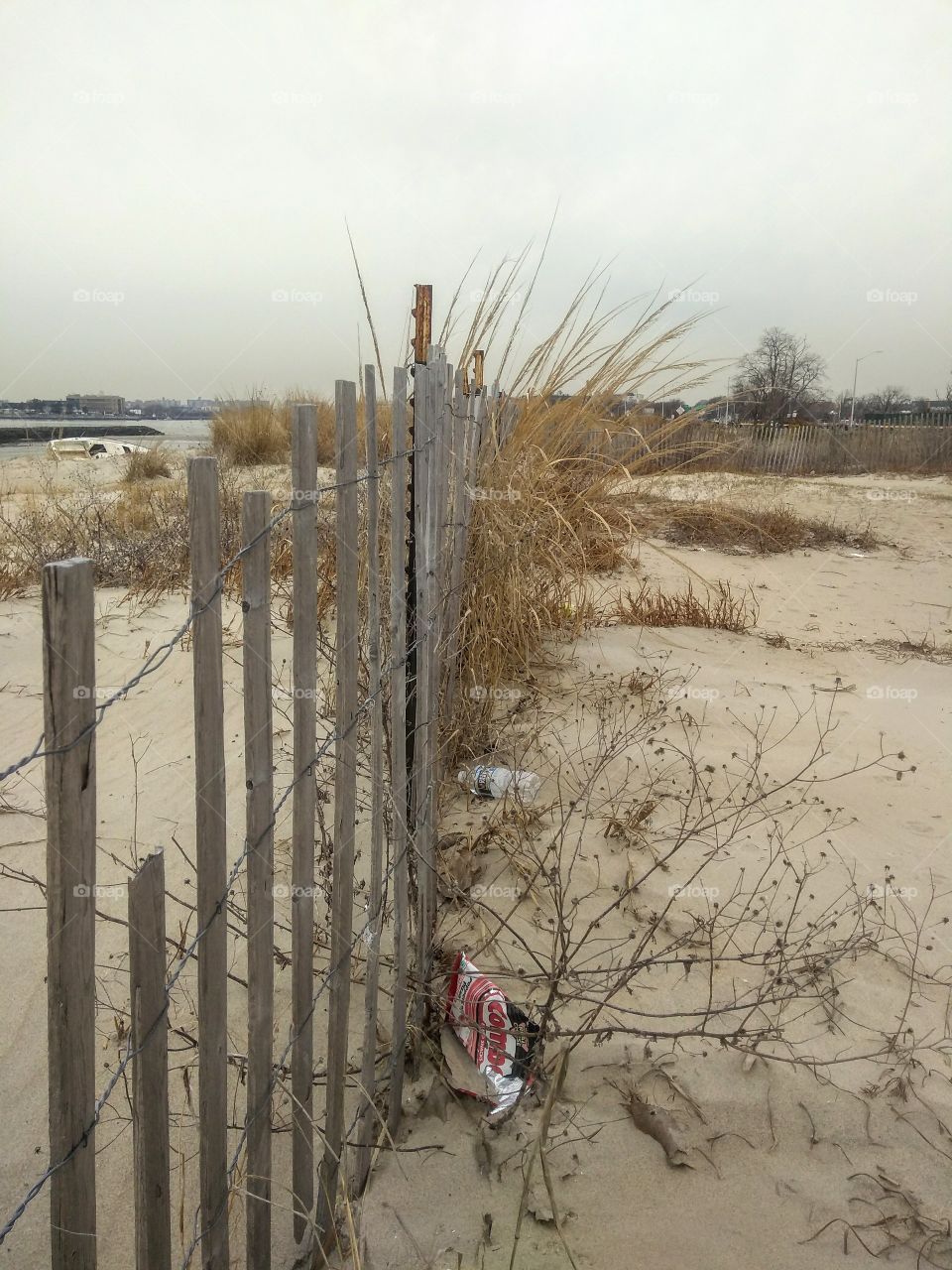 Beach grass and fence