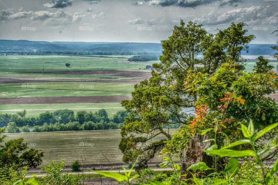 Mississippi  River Flats by Valmeyer . Photo from  the Cliffside